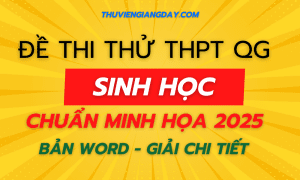 BỘ ĐỀ THI THỬ TỐT NGHIỆP THPT - MÔN SINH HỌC - NĂM 2025 - BÁM SÁT CẤU TRÚC ĐỀ MINH HỌA BGD MỚI NHẤT (Bản word giải chi tiết)