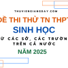 BỘ ĐỀ THI THỬ TN THPT TỪ CÁC TRƯỜNG CHUYÊN VÀ SỞ GIÁO DỤC CẢ NƯỚC – MÔN SINH HỌC – NĂM 2025 (Bản word giải chi tiết)
