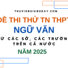 BỘ ĐỀ THI THỬ TN THPT TỪ CÁC TRƯỜNG CHUYÊN VÀ SỞ GIÁO DỤC CẢ NƯỚC – MÔN NGỮ VĂN – NĂM 2025 (Bản word giải chi tiết)