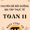 CHUYÊN ĐỀ BỒI DƯỠNG TOÁN THỰC TẾ LỚP 11 NĂM 2025 CHUNG 3 SÁCH KNTT - CTST - CÁNH DIỀU