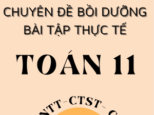 CHUYÊN ĐỀ BỒI DƯỠNG TOÁN THỰC TẾ LỚP 11 NĂM 2025 CHUNG 3 SÁCH KNTT - CTST - CÁNH DIỀU