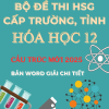 BỘ ĐỀ THI HSG MÔN HÓA HỌC LỚP 12 CẤP TRƯỜNG TỈNH CẤU TRÚC MỚI NĂM 2025 BẢN WORD GIẢI CHI TIẾT