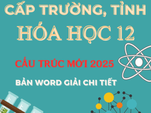 BỘ ĐỀ THI HSG MÔN HÓA HỌC LỚP 12 CẤP TRƯỜNG TỈNH CẤU TRÚC MỚI NĂM 2025 BẢN WORD GIẢI CHI TIẾT