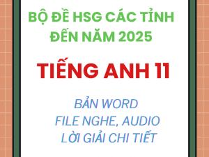 BỘ ĐỀ TỔNG HỢP HSG TIẾNG ANH 11 CÁC TỈNH ĐẾN NĂM 2025 File word có nghe lời giải chi tiết
