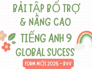 BÀI TẬP BỔ TRỢ & NÂNG CAO TIẾNG ANH 9 GLOBAL SUCCESS BÙI VĂN VINH
