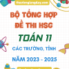 BỘ TỔNG HỢP ĐỀ THI HSG TOÁN 11 CÁC TRƯỜNG TỈNH NĂM 2025
