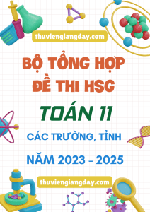 BỘ TỔNG HỢP ĐỀ THI HSG TOÁN 11 CÁC TRƯỜNG TỈNH NĂM 2025