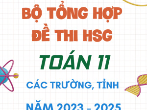 BỘ TỔNG HỢP ĐỀ THI HSG TOÁN 11 CÁC TRƯỜNG TỈNH NĂM 2025