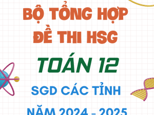 BỘ TỔNG HỢP ĐỀ THI HSG TOÁN 12 SGD CÁC TỈNH NĂM 2024-2025
