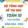 BỘ TỔNG HỢP ĐỀ THI HSG TOÁN 12 CÁC TRƯỜNG NĂM 2024-2025