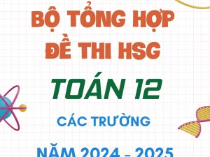 BỘ TỔNG HỢP ĐỀ THI HSG TOÁN 12 CÁC TRƯỜNG NĂM 2024-2025
