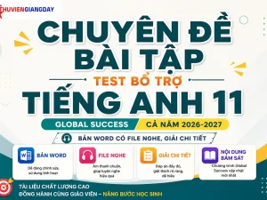 Bộ tài liệu chuyên đề bài tập bổ trợ Tiếng Anh 11 Global Success cả năm bản Word có file nghe và giải chi tiết