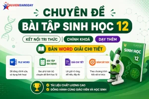 Banner giới thiệu bộ tài liệu chuyên đề bài tập Sinh học 12 Kết nối tri thức bản Word có đáp án chi tiết