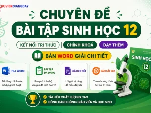 Banner giới thiệu bộ tài liệu chuyên đề bài tập Sinh học 12 Kết nối tri thức bản Word có đáp án chi tiết