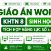 Giáo án KHTN 8 Sinh học tích hợp năng lực số và AI bộ Kết nối tri thức cả năm
