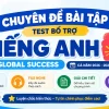 Bài tập bổ trợ Tiếng Anh 8 Global Success có đáp án chi tiết